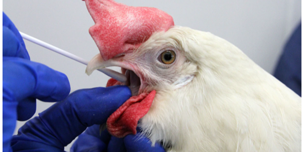 微信截圖_20230129100719