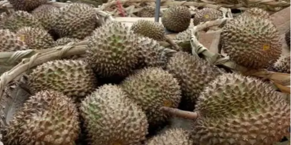 微信截圖_20230111100102