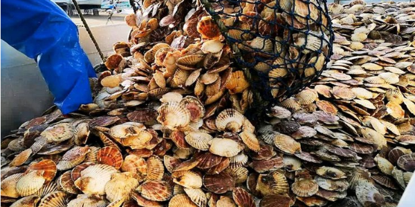 微信截圖_20230111093830