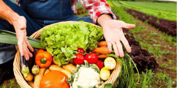 越南興安拓寬龍眼和農(nóng)產(chǎn)品的銷售渠道