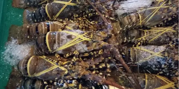 微信截圖_20230309091258