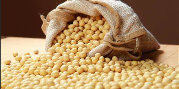 微信截圖_20230104102505