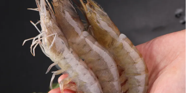 微信截圖_20230221100240