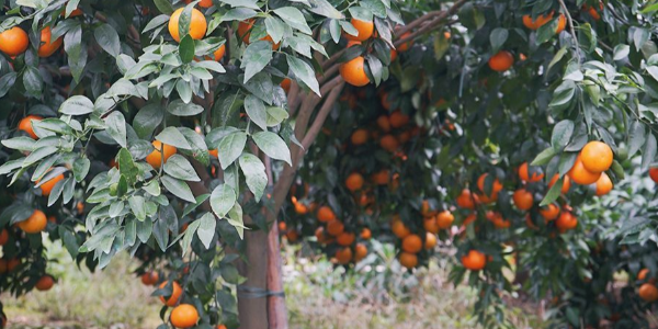 微信截圖_20230307090859