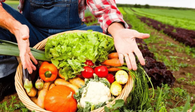 越南對(duì)華蔬菜出口大跌三成