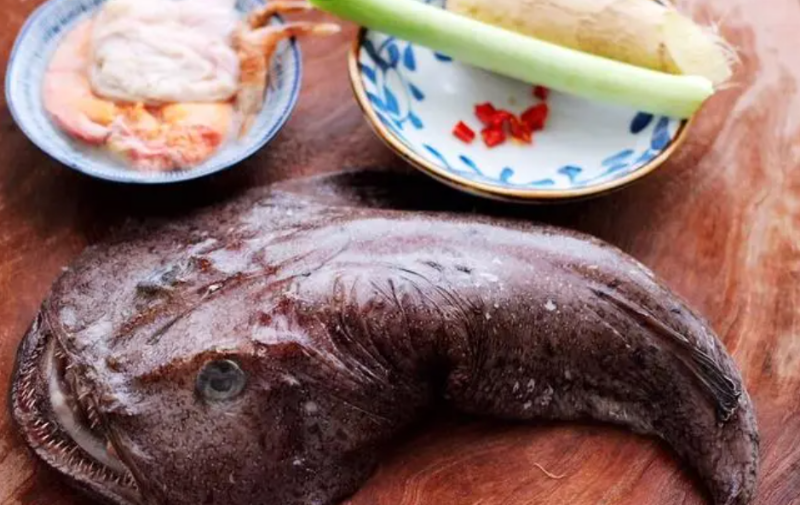 今年前5個月韓國進口的冷凍魷魚和安康魚主要來自中國