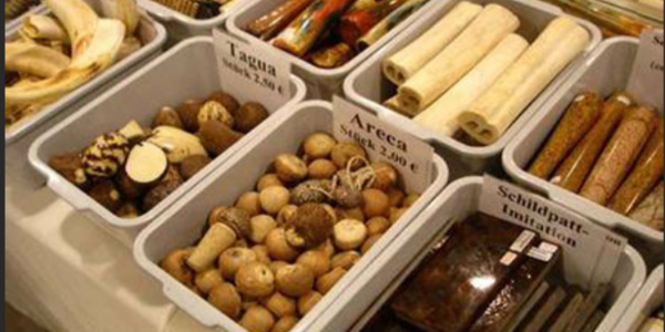 QQ截圖20221224113552