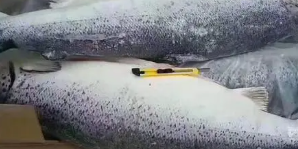 微信截圖_20230112092657