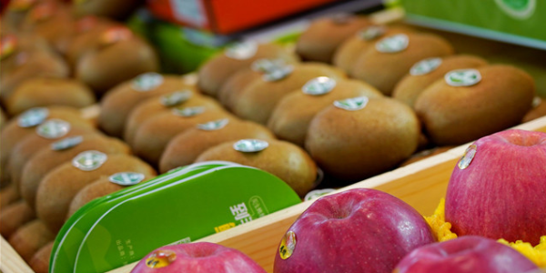 微信截圖_20230412084928