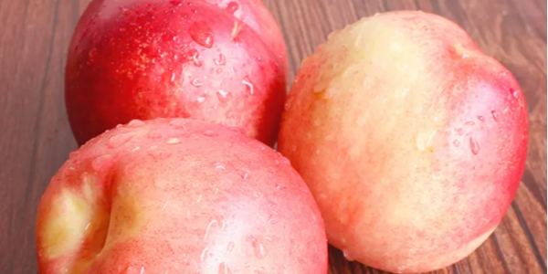 微信截圖_20230412091443